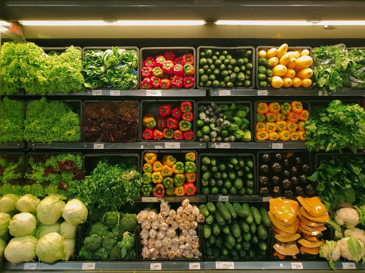 採れたての野菜のイメージ